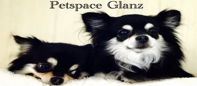 PetSpace Glanz