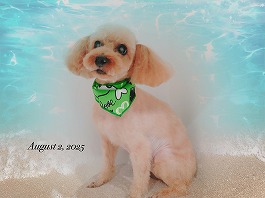 ココアちゃん♀