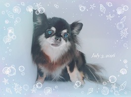 リムちゃん♀