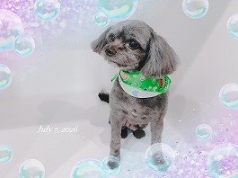 コアくん♂