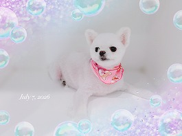 LUNAちゃん♀