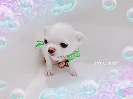 なつくん♂