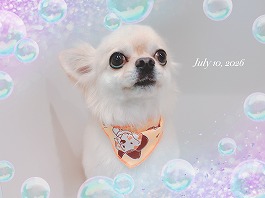 くうがくん♂