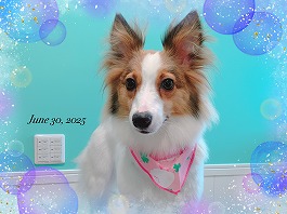 きてぃちゃん♀