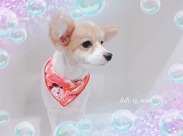 ふくちゃん♀