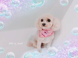 メルちゃん♀