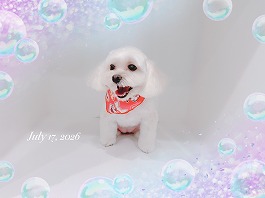ペコちゃん♀