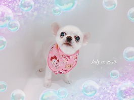 のあちゃん♀