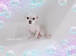 ガッツくん♂