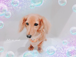 サンディちゃん♀