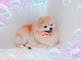 KIARAちゃん♀