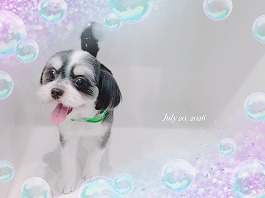 MAXくん♂