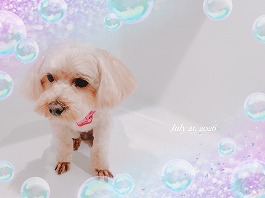 ノアちゃん♀