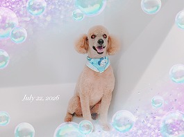 太郎くん♂