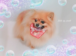 GUCCIちゃん♀