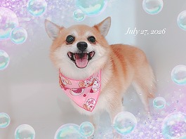 JAKEくん♂