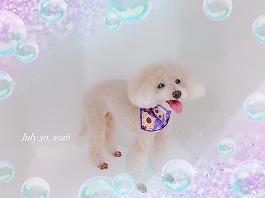 くっきいちゃん♀