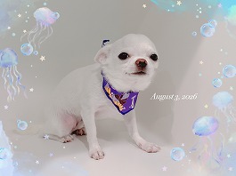 なつくん♂