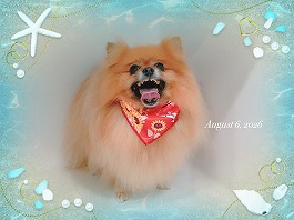 GUCCIちゃん♀