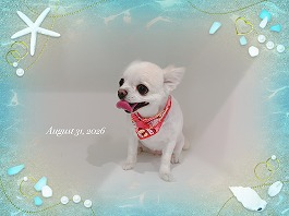 こうめちゃん♀