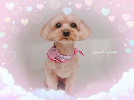 ノアちゃん♀