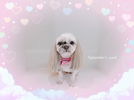 AYAちゃん♀