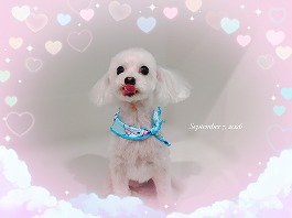 ラムちゃん♀