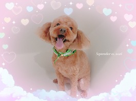 チャッピーくん♂