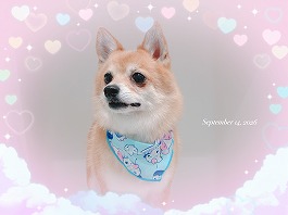 JAKEくん♂