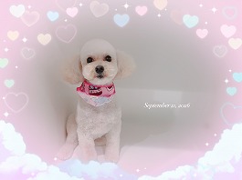 ココちゃん♀
