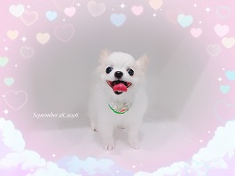 もずくくん♂