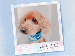 ゴンちゃんくん♂