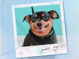 ワカメちゃん♀