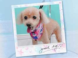 すみれちゃん♀