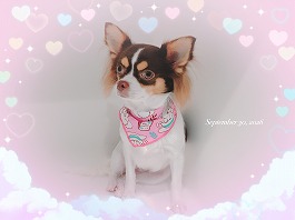 そらちゃん♀