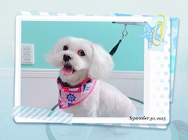 バニラちゃん♀