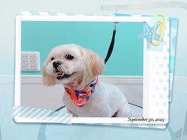 ひかりちゃん♀