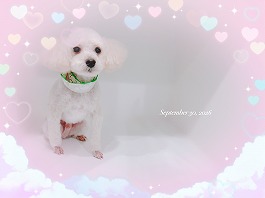 らいとくん♂
