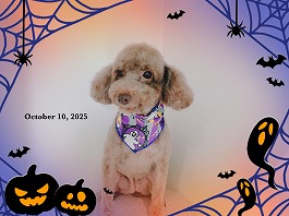 ミリアちゃん♀