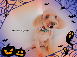 クレアちゃん♀