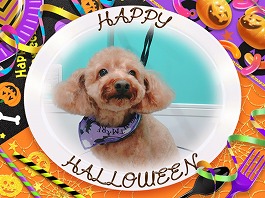 チャッピーくん♂