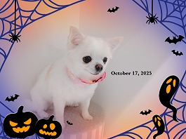 こうめちゃん♀