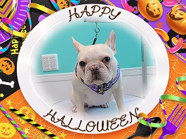 アーリヤちゃん♀