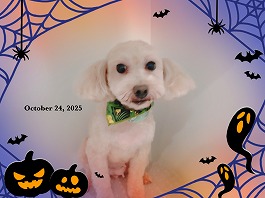 みるくちゃん♀