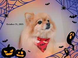 もみじちゃん♀