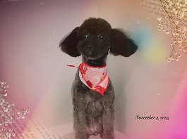 あんこちゃん♀