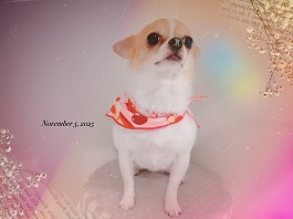 アムロちゃん♀