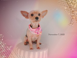 こうめちゃん♀