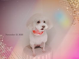 なな子ちゃん♀