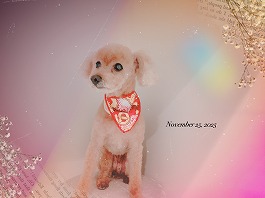 すみれちゃん♀